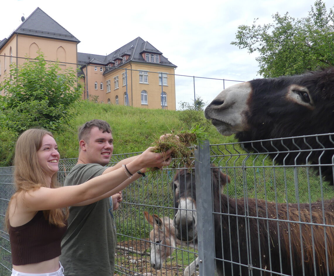 Der Besuch bei Ziegen und Eseln macht Rebecca Blattert, FSJlerin der Stiftung St. Franziskus, genauso viel Spaß wie Slawa.