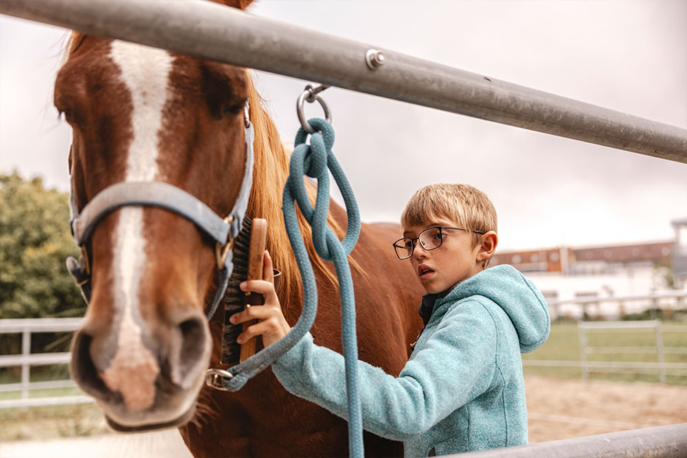 Junge mit Sehbehinderung striegelt ein braunes Pferd