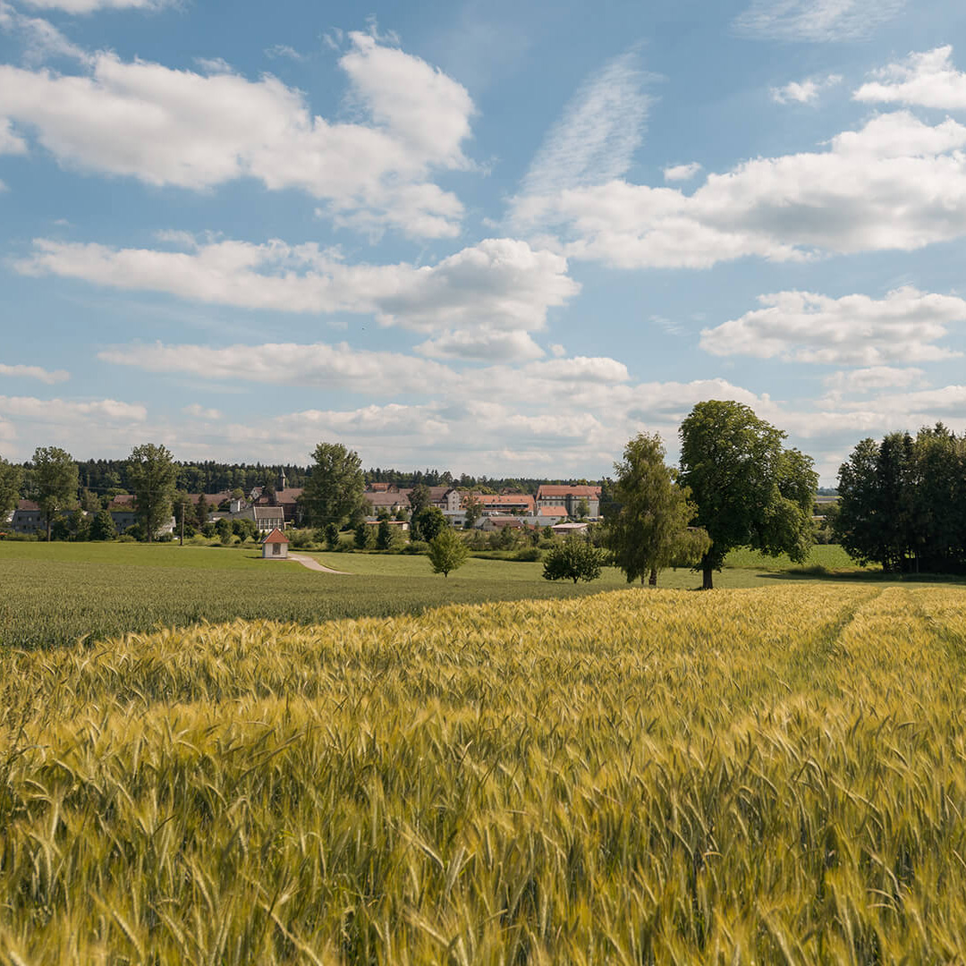 Blick über Getreidefelder auf den Stadtteil Heiligenbronn
